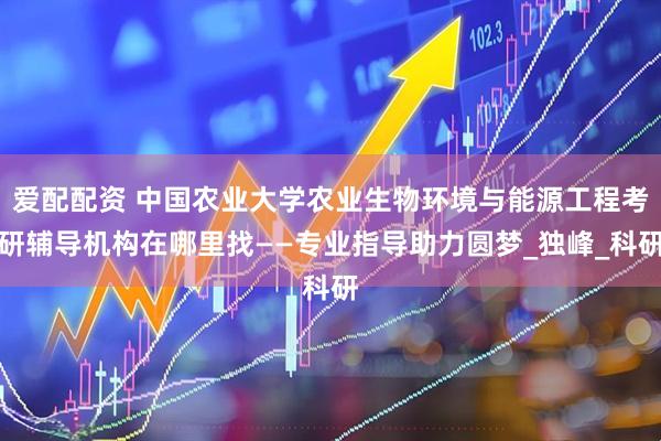 爱配配资 中国农业大学农业生物环境与能源工程考研辅导机构在哪里找——专业指导助力圆梦_独峰_科研